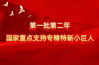 全国仅575家 | 北方PA视讯入选第一批第二年国度沉点支持专精特新幼巨人